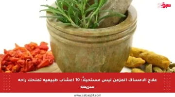 علاج الإمساك المزمن ليس مستحيلاً: 10 أعشاب طبيعية تمنحك راحة سريعة